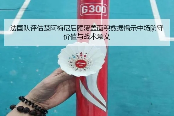 法国队评估楚阿梅尼后腰覆盖面积数据揭示中场防守价值与战术意义